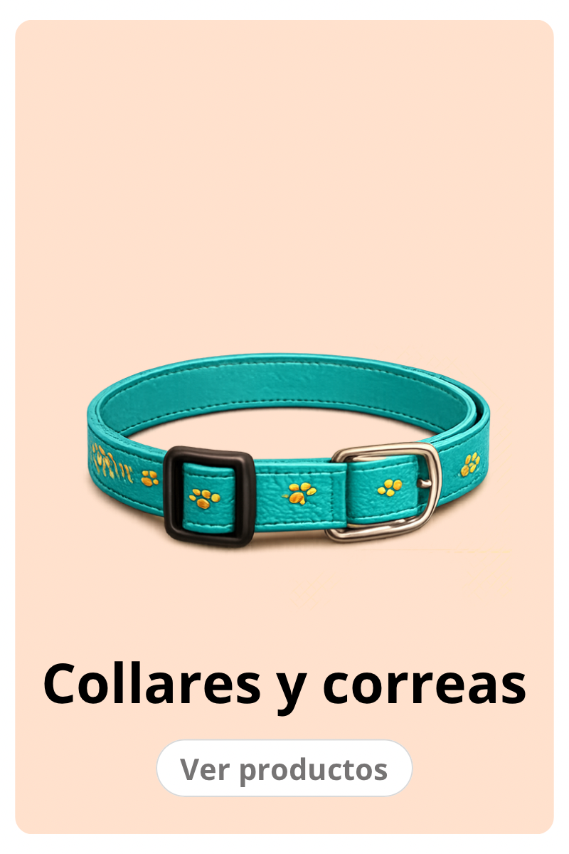 Collares y correas