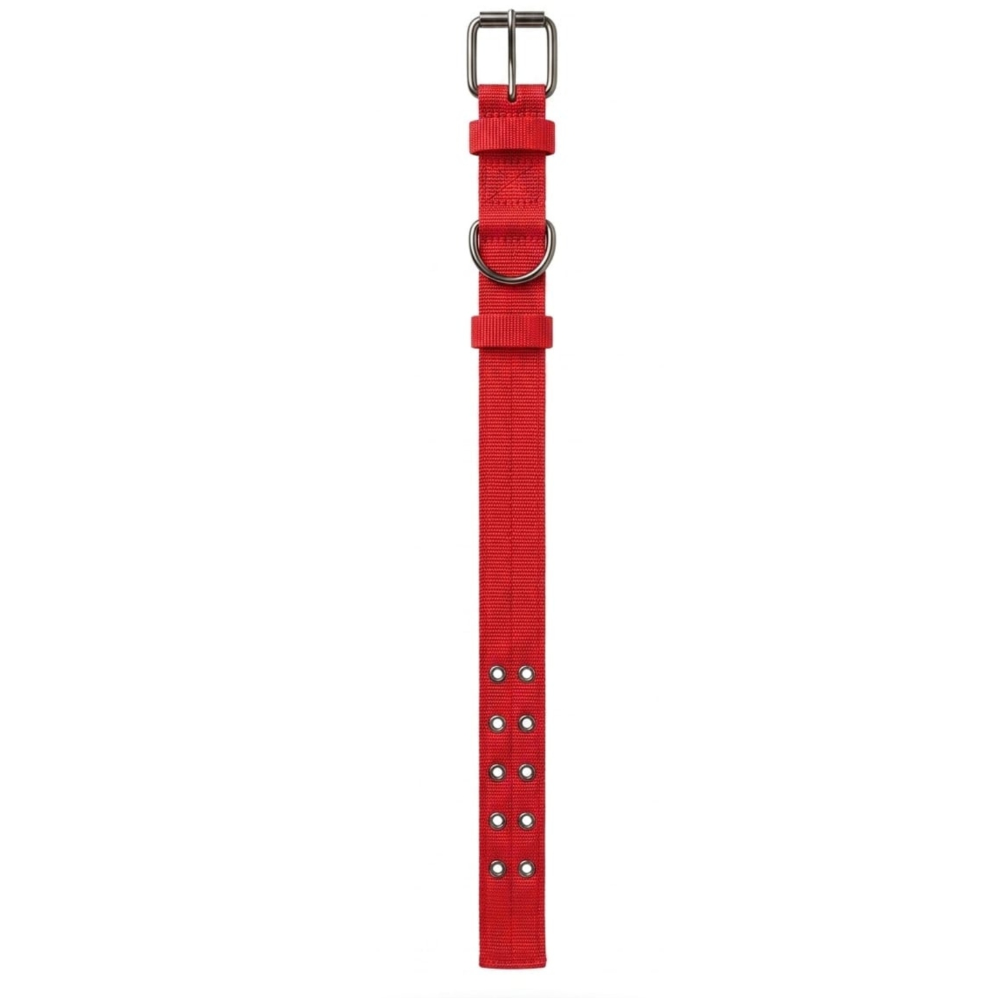 Collar de Lona Reforzada para Perros