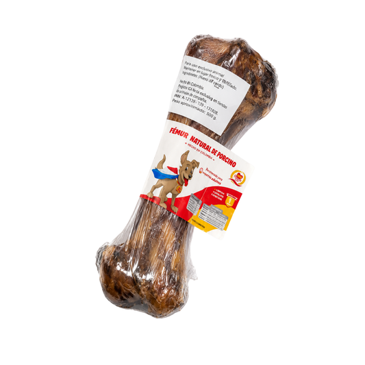 Fémur Natural de Porcino