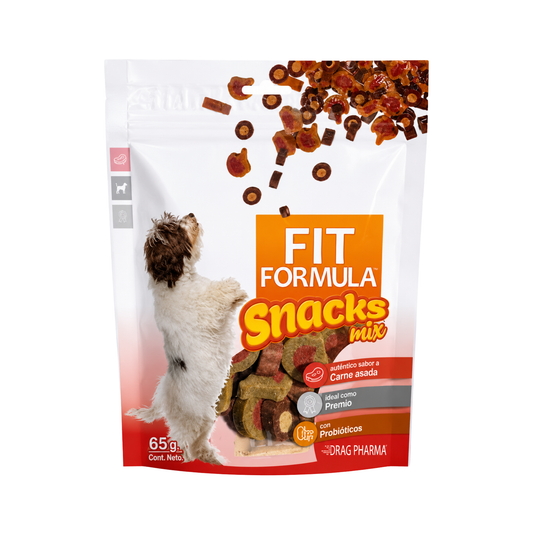 Fit Formula Snacks Mix Carne Asada 65g