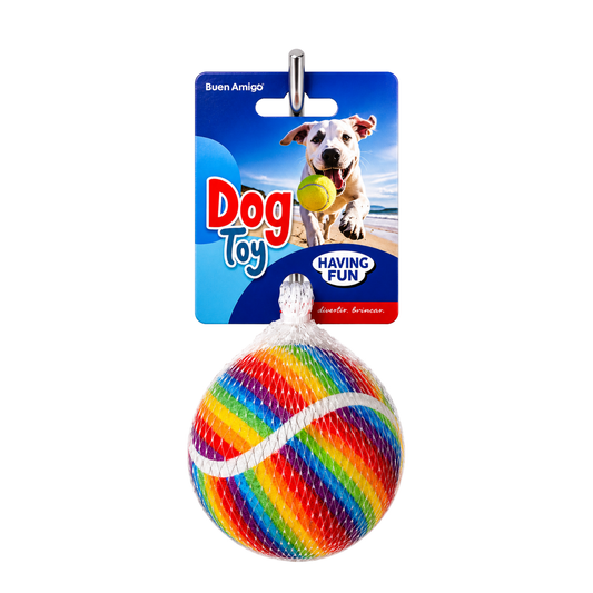 Pelota Arcoíris para Perro
